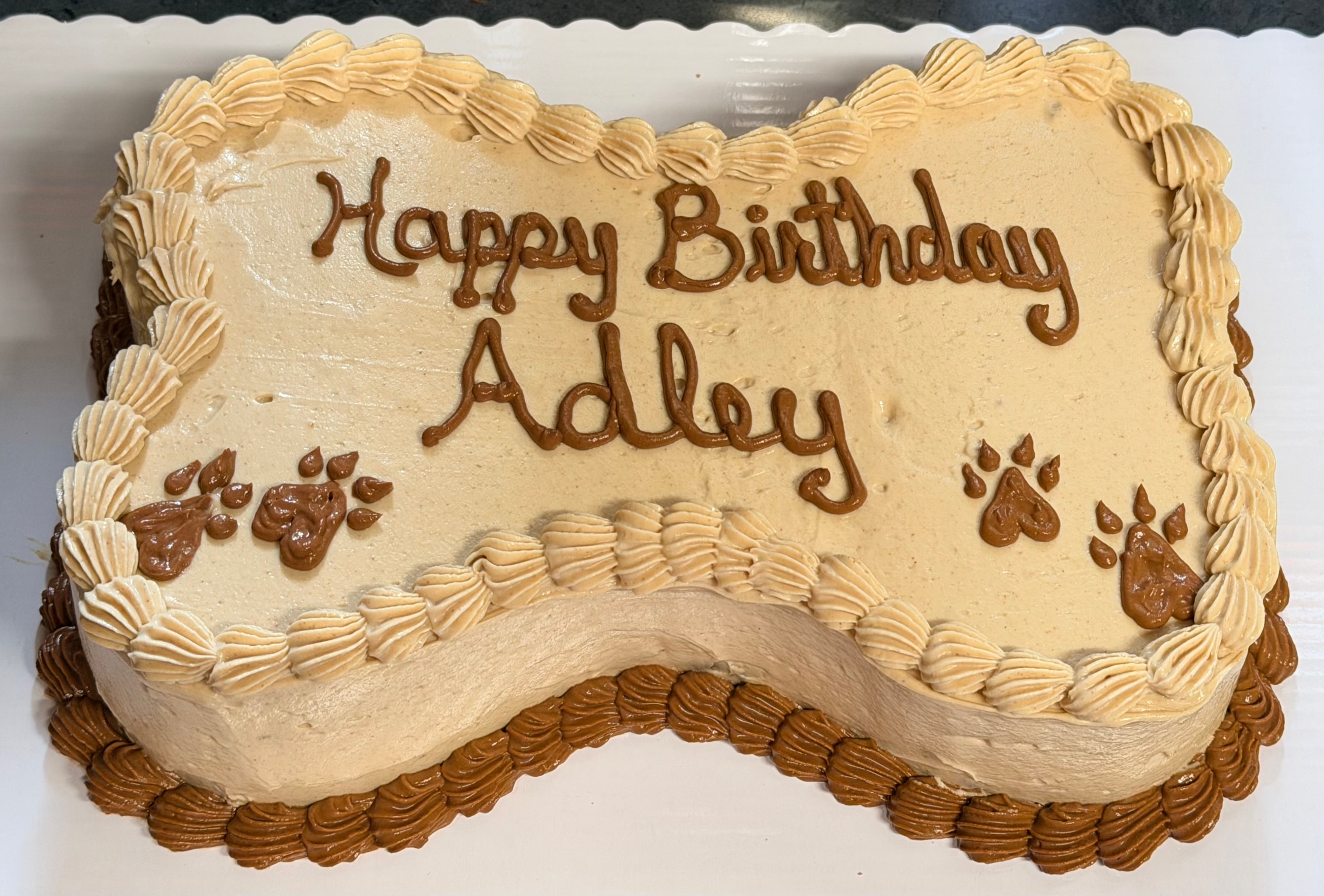 10" Single-Layer Bone Shaped Cake